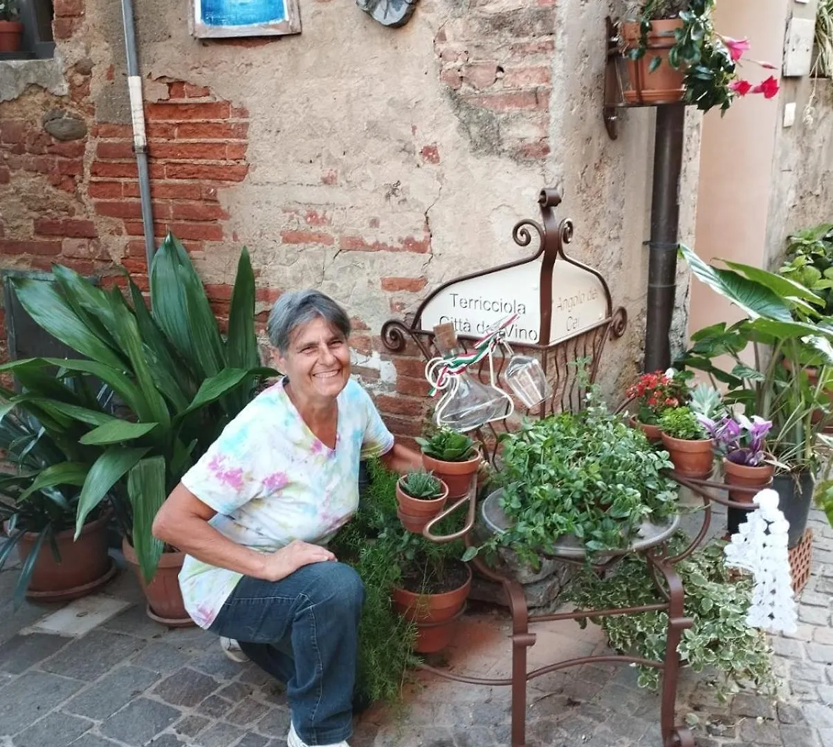 Angolo Della Cei Terricciola Apartment